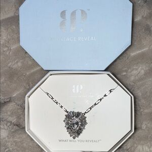 Stunning Silver Necklace by Necklace Reveal